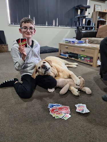 Animals at Home - Photography Competition Spot Prize Winner: Mason (7). Judges feedback: Love the humour in this image. It is like the dog is reading the cards and fully part of the game.